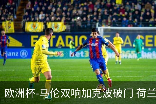 欧洲杯-马伦双响加克波破门 荷兰3-0罗马尼亚