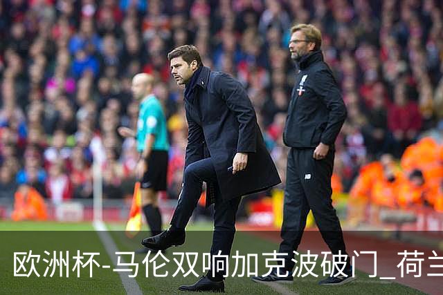 欧洲杯-马伦双响加克波破门 荷兰3-0罗马尼亚